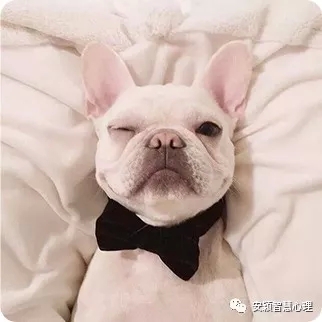 1535183758375150.jpg gougou.webp (1).jpg