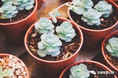 1546654435260134.jpg 640.webp (2).jpg