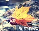 1547626281960659.jpg 640.webp (14).jpg