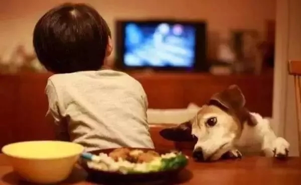 1547629669595459.jpg 640.webp (4).jpg