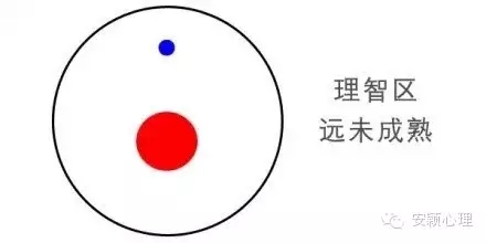 1559101720505399.jpg 640.webp (11).jpg