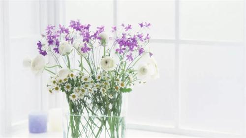 1568688676441322.jpg 微信圖片_20190916103406.jpg