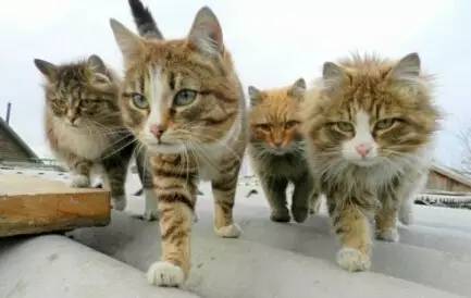 1627551873403380.jpg 微信圖片11.jpg