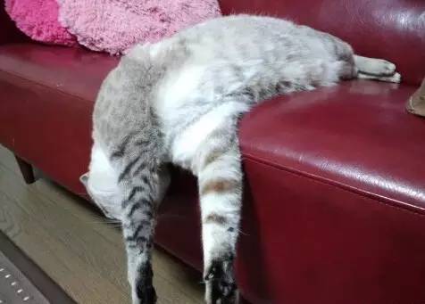 1627551895177899.jpg 微信圖片13.jpg