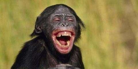 1628405480746082.jpeg 10.jpeg