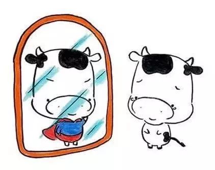 1634371454160016.jpg 微信圖片53.jpg