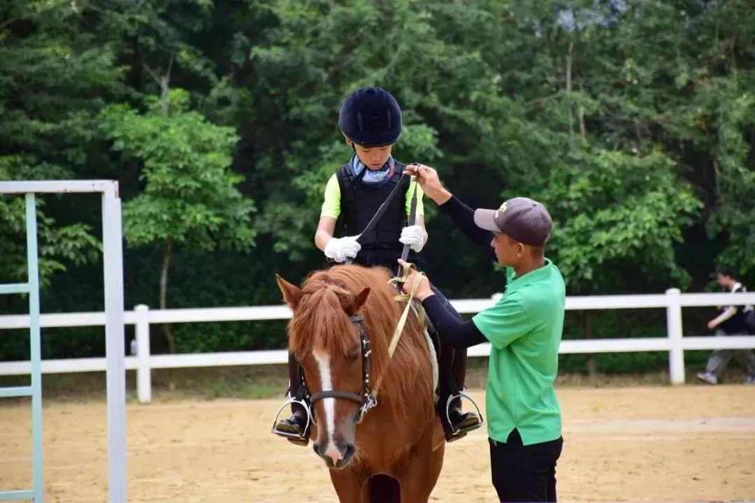 1657097688669838.jpg 13.jpg