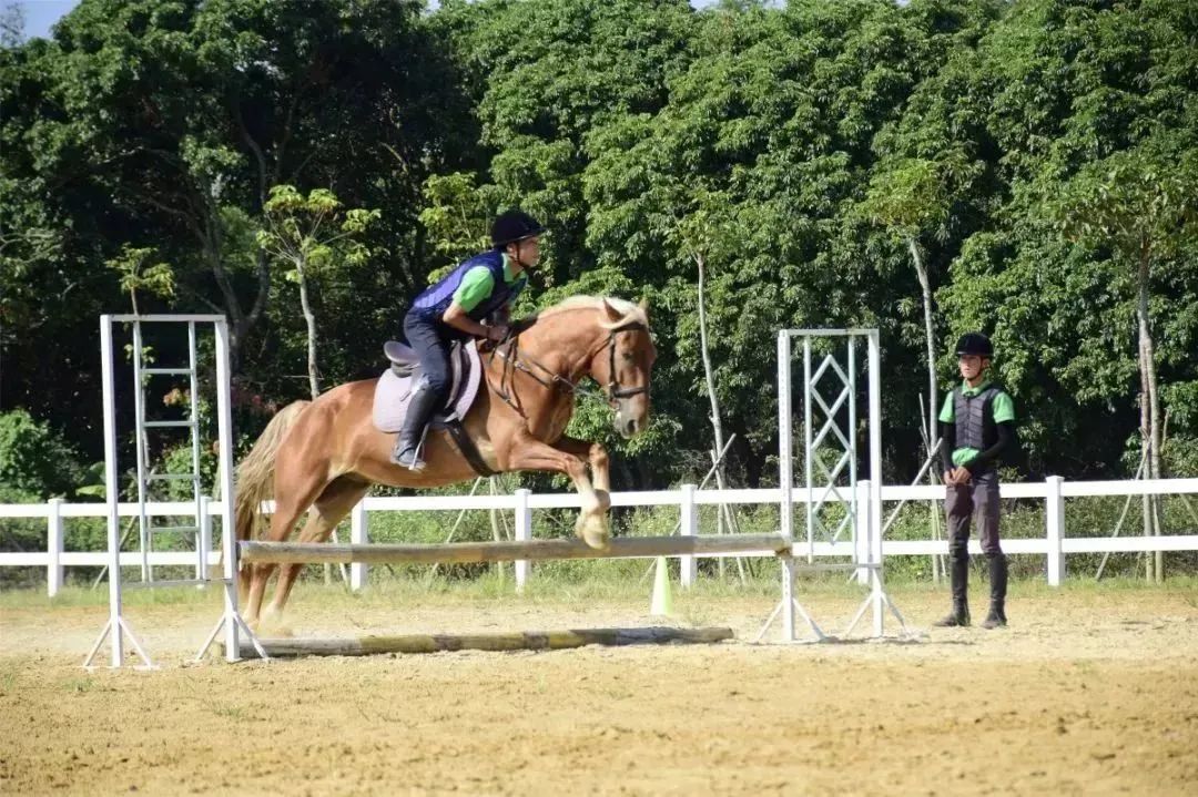 1657098108398506.jpg 42.jpg